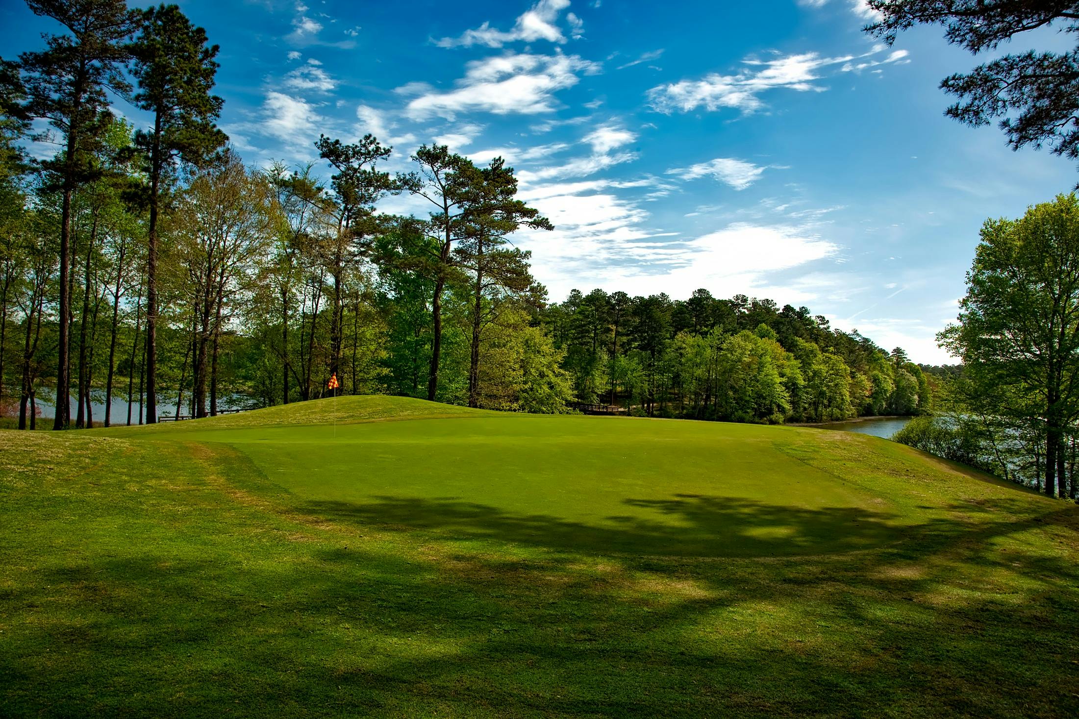The Art of Golf